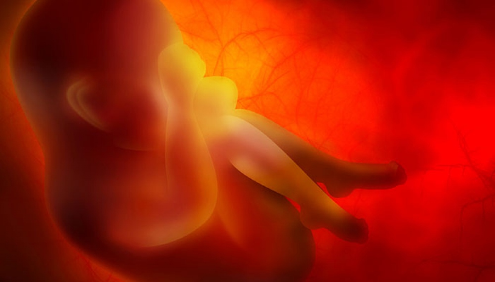 Tüp Bebek Tedavisinde Embriyo Dondurma İşlemi